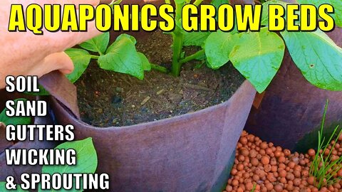 5 Aquaponics Grow Bed Ideas | Soil - Wicking - Sand - Gutter Beds - Sprouting Grain