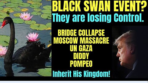 Melissa Redpill Update Today Mar 26: "Black Swan - Bridge Collapse, Diddy, Moscow, Assange"