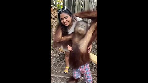 Funny animal video 🤣