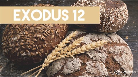 Exodus 12 - Sermon with Pastor Mike Kestler