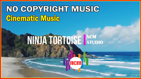 Ninja Tortoise - Verified Picasso: Cinematic Music, Bright Music, Suspense Music , Action Music​