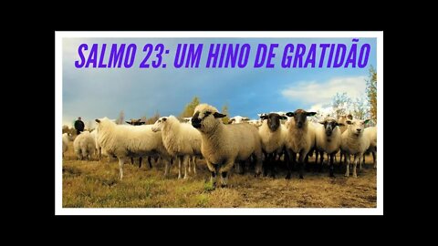 SALMO 23: UM HINO DE GRATIDAO.