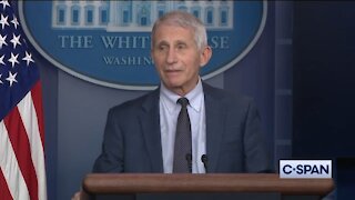 Fauci Confirms The First Case Of Omicron In America