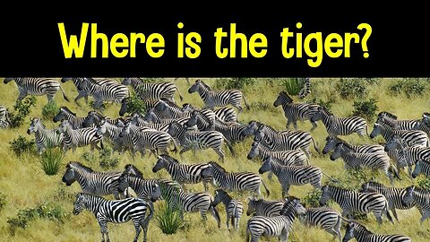 Can you find the hidden animals? do comment