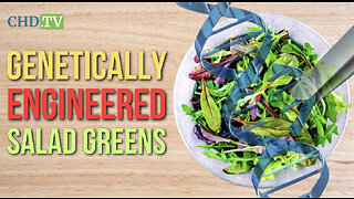 “Be Aware!” Genetically Engineered Salad Greens Are Entering the Food Supply, They Won’t Be Labeled