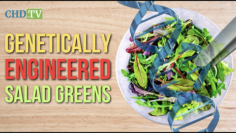 “Be Aware!” Genetically Engineered Salad Greens Are Entering the Food Supply, They Won’t Be Labeled