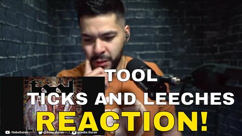 TOOL Ticks and Leeches (Reaction!) | this TOOL is FUN