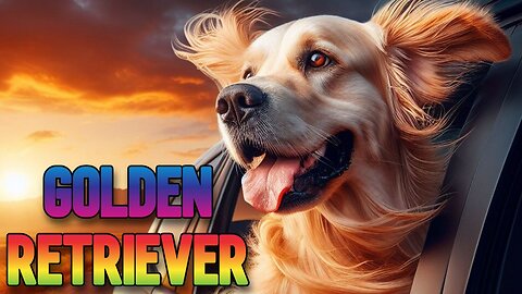 The Golden Charm: The History and Curiosities of the Golden Retriever