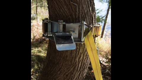 Portable Winch PCA-1269 Tree Mount Winch Anchor with Strap