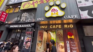 Visiting a Dog Cafe in Tokyo 🇯🇵