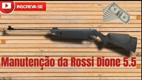 Manutenção da Rossi Dione 5.5.