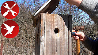 Wooden Nest Box - Preparing for the New Season
