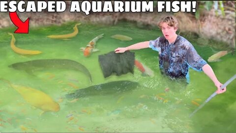 Saving ESCAPED Aquarium Fish in FLOODED Fish Farm!