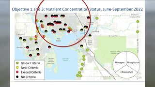 A Look at the Water Quality in Southwest Florida