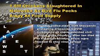 1.8M More Chickens Slaughtered In Nebraska-Bird Flu, China Protests Update