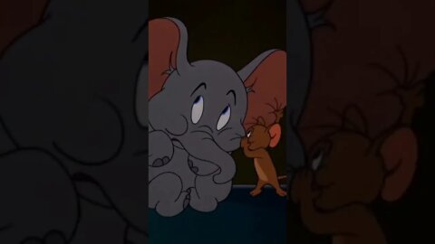 #TomandJerry cartoon video#cartoonvideo #Tom and Jerry#shortsfeed #ytshort #viralvideo #cartoon