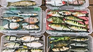 DO's & Don'ts of Tournament Swimbaits (Big Fish Tips)