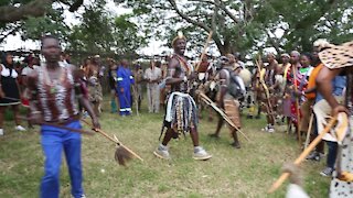 SOUTH AFRICA - Durban - Umthayi Marula Festival (Video) (S6S)