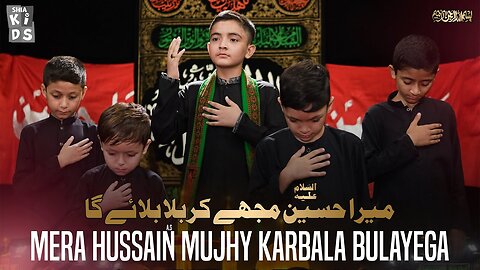 Mera Hussain Mujhy Karbala Bolayega | Aqeel Abbas | Arbaeen Kalam 2023 | 14 Records