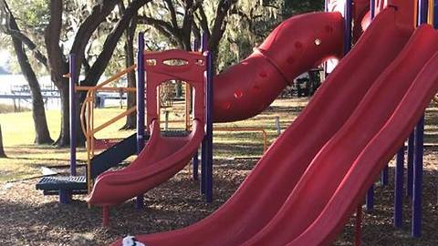 Funny chihuahua runs down park slide