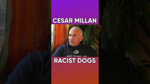 @Cesar Millan on Racist Dogs