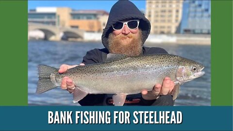 Bank Fishing For Steelhead / Steelhead Fishing Videos / Grand River Grand Rapids Michigan