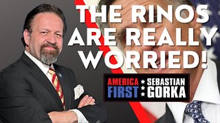 The RINOs are really worried! Matt Boyle with Sebastian Gorka on AMERICA First