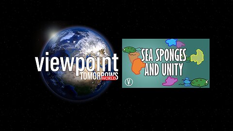 Sea Sponges and Unity