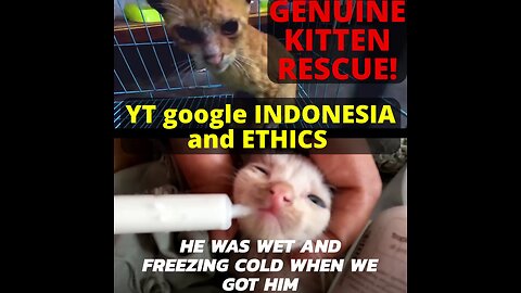 Despicable YT google Indonesia censorship of animal rescuers