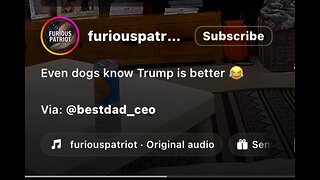 Captioned - Even dogs know Trump is better 😆