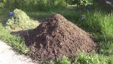 The new pile of composting