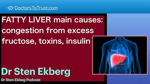STEN EKBERG 1 | FATTY LIVER main causes: congestion from excess fructose, toxins, insulin