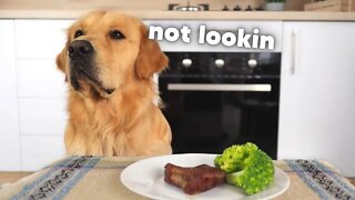 Leaving My Dog Alone With a Tasty Steak...