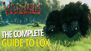 Complete Guide To Lox - Valheim