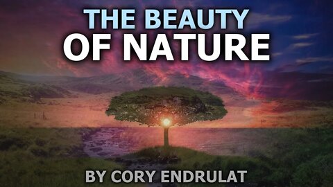 The Beauty Of Nature | NITA.ONE Nature Is The Answer