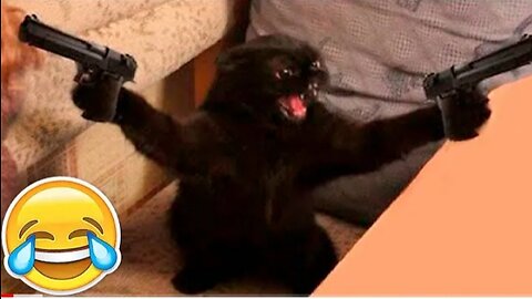 😂 Funniest Cats and Dogs Videos 😺🐶 funny 😁😁New Funny Animals🤣🤣