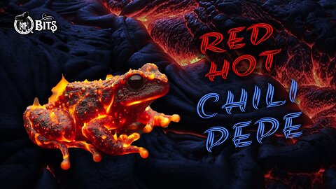 #804 // RED HOT CHILI PEPE - LIVE