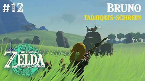 Zelda Tears of the Kingdom #12 [DE][4K][BLIND]