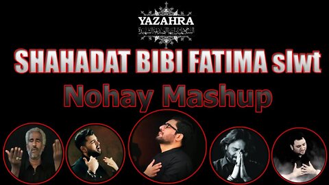 NohayMix Shahadat Bibi Fatima slwt | Mir Hassan Mir | Nadeem Sarwar | Shahid Mesum Abbas Haji Iqbal