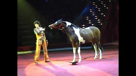 Yakubovskie.ru Comic Cowboy Horse Moscow Circus
