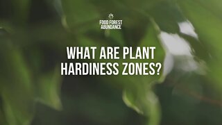 What are plant hardiness zones?