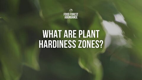 What are plant hardiness zones?