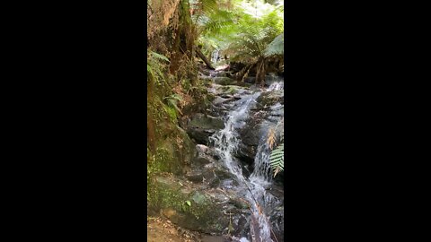 Tara-Bulga falls