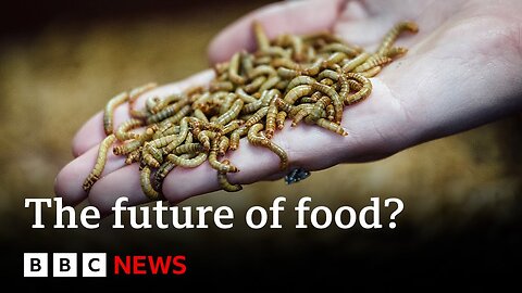 How the food we eat impacts the planet _ Future Earth _ BBC News