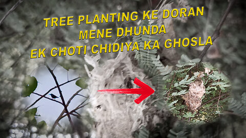 tree planting ke doran mene dhunda ek choti chidiya ka ghosla S.G Vlogger