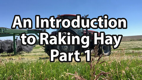 An Introduction to Raking Hay (Part 1)