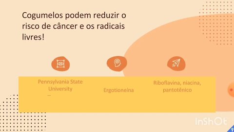 [pt. 3] Cogumelos aumentam a longevidade e a saúde no geral