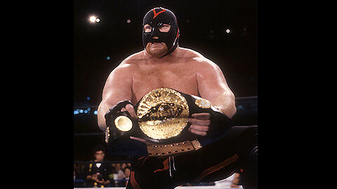 Big Van Vader - The Ultimate Collection - Volume #3 (1990-91)