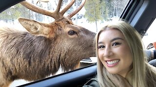 You Can Get Up Close To Wild Animals At This Nature Reserve Near Ottawa