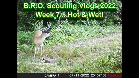 B.R.O. Scouting Vlogs 2022! Week 7.... Hot & Wet!!